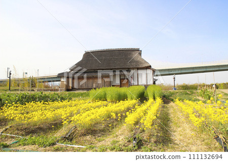 兵庫縣尼崎森林中央綠地/茅草屋/兵庫縣尼崎市荻町33 111132694