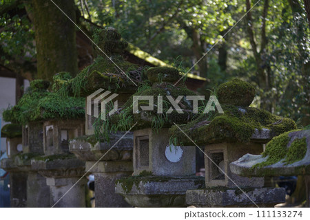 遊覽奈良的寺廟 遊覽奈良的寺廟 111133274