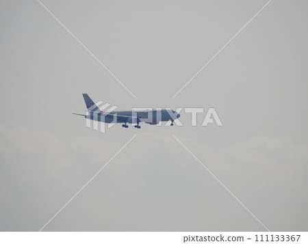 飛機 111133367