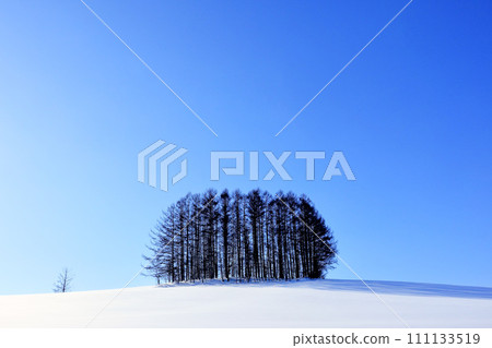 A clean image of the landscape of Hokkaido 111133519