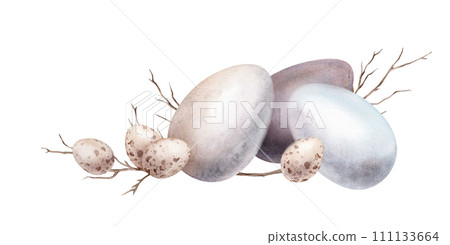 Chicken and quail eggs shell and willow branches. Symbols of Easter celebration. Design for card. Watercolor hand drawn painting illustration isolated on a white background. Minimalistic pastel color 111133664