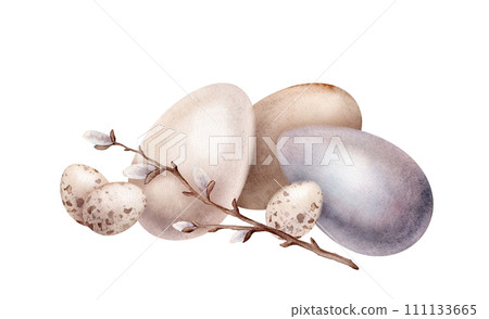 Chicken and quail eggs shell and willow branches. Symbols of Easter celebration. Design for card. Watercolor hand drawn painting illustration isolated on a white background. Minimalistic pastel color 111133665