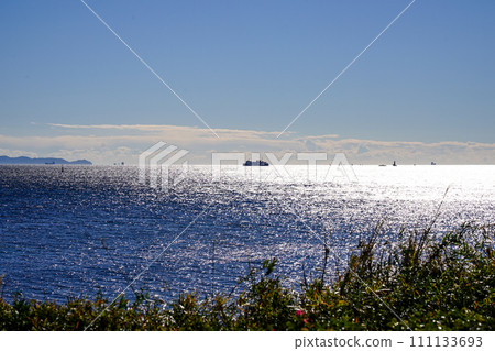從觀音崎公園看到的東京灣浦賀海峽（神奈川縣橫須賀市） 111133693