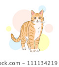 Hand drawn cute tabby cat standing 111134219