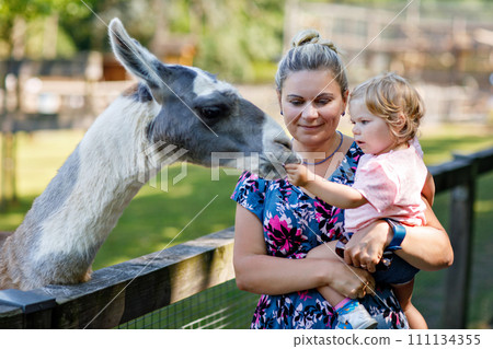 Adorable cute toddler girl and young mother feeding little goats and sheeps on kids farm. Beautiful baby child petting animals in petting zoo. Woman and daughter together on family weekend vacations 111134355