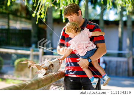 Adorable cute toddler girl and young father feeding little goats and sheeps on a kids farm. Beautiful baby child petting animals in petting zoo. man and daughter together on family weekend vacations. Adorable cute toddler girl and young father feeding little goats and sheeps on a kids farm. Beautiful baby child petting animals in petting zoo. man and daughter together on family weekend vacations. 111134359