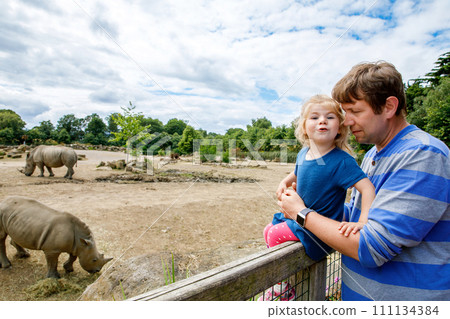 Cute adorable toddler girl and father watching wild rhinos in zoo. Happy baby child, daughter and dad, family having fun together with animals safari park on warm summer day. Ireland 111134384