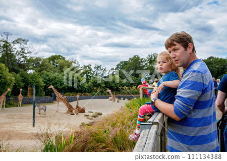 Cute adorable toddler girl and father watching and feeding giraffe in zoo. Happy baby child, daughter and dad, family having fun together with animals safari park on warm summer day. Ireland 111134388