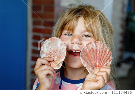 Little preschool girl with variation of different shells and clams at home. Happy child with collected shell from Normandy, France. Children, education, vacation concept. 111134456