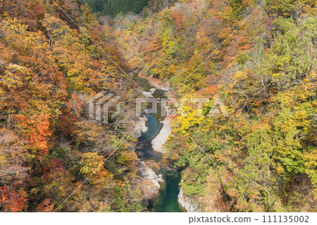 Autumn leaves of Oyasu Gorge in Yuzawa City, Akita Prefecture, Japan Autumn leaves of Oyasu Gorge in Yuzawa City, Akita Prefecture, Japan 111135002