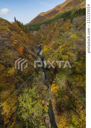 Autumn leaves of Oyasu Gorge in Yuzawa City, Akita Prefecture, Japan Autumn leaves of Oyasu Gorge in Yuzawa City, Akita Prefecture, Japan 111135014