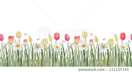 Seamless border with tulips and daffodils, floral frame.Watercolor illustration.March 8 card, 111135145