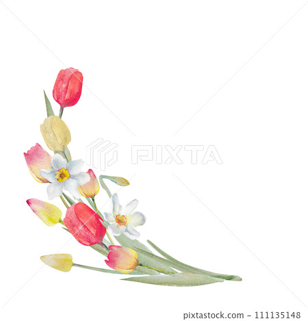 Postcard with watercolor tulips and daffodils.Spring design for Valentine's Day,March 8,Mother's Day 111135148