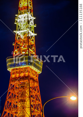 The night-colored TV tower seen from Shiba Park at night 111135188
