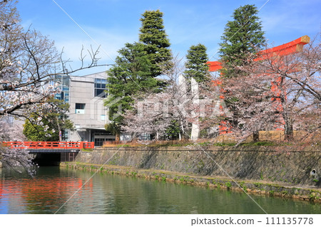 [Kyoto Prefecture] Okazaki Sakura Corridor under sunny weather and Kyoto City Museum of Art 111135778