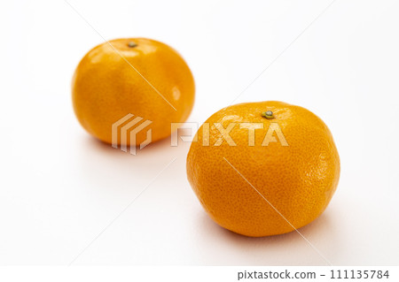 mandarin orange on white background mandarin orange on white background 111135784