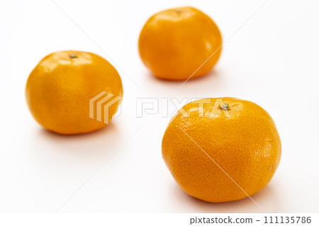 白色背景上的橘子 111135786