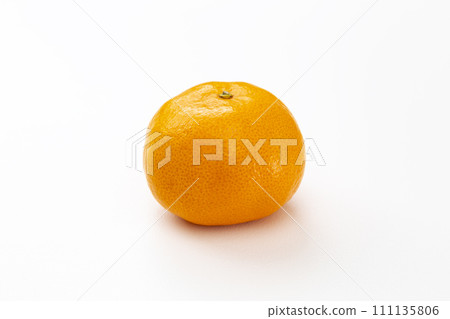 白色背景上的橘子 白色背景上的橘子 111135806