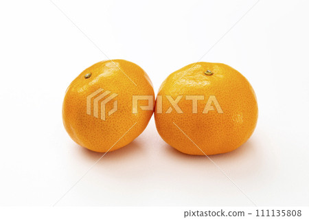 白色背景上的橘子 111135808