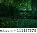 A resting place in a beautiful green Japanese bamboo forest 111137378