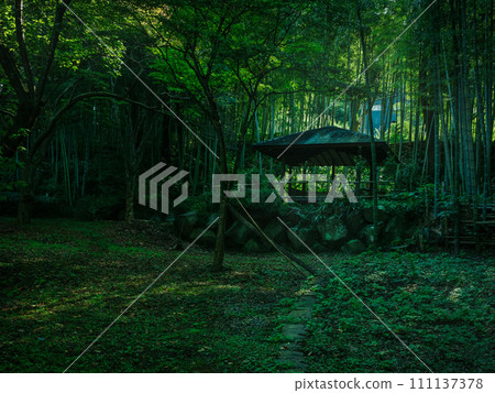 A resting place in a beautiful green Japanese bamboo forest 111137378