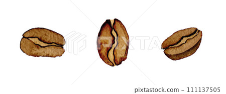 coffee beans drawn in watercolor for cards and design coffee beans drawn in watercolor for cards and design 111137505