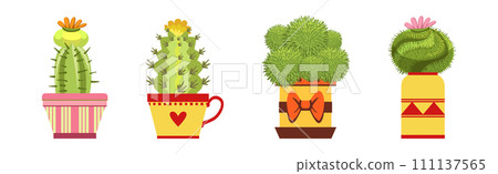 Green Spiky Cactus Plant Growing in Ornamental Ceramic Pot Vector Set Green Spiky Cactus Plant Growing in Ornamental Ceramic Pot Vector Set 111137565