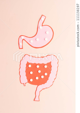 Stomach and intestine with white pills. Creative idea of probiotics or medicine pills absorbed in gastrointestinal tract. Concept of digestive supplements, intestinal microflora and drug metabolism. 111138197