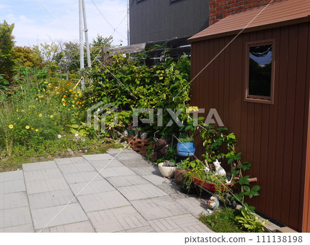 garden with a small hut garden with a small hut 111138198
