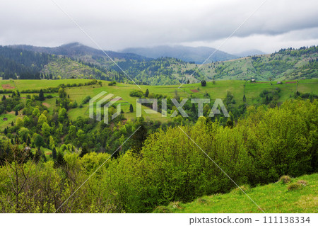 carpathian countryside with grassy meadows and forested rolling hills in spring. alpine highlands of ukrainian rural landscape beneath an overcast sky carpathian countryside with grassy meadows and forested rolling hills in spring. alpine highlands of ukrainian rural landscape beneath an overcast sky 111138334