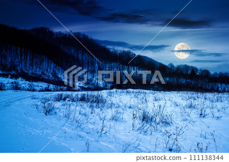 countryside scenery at winter night. snow covered meadow and leafless forest on the hill in full moon light countryside scenery at winter night. snow covered meadow and leafless forest on the hill in full moon light 111138344