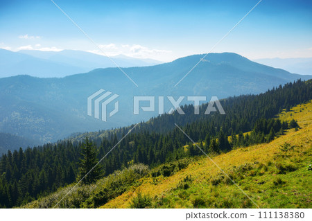 landscape of ukrainian alpine highlands. mountains of chornohora ridge with forested hills and grassy meadows in morning light. warm summer forenoon 111138380