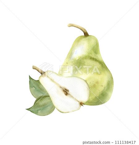 Watercolor hand drawn green pear and half slice illustrations. Summer fruits with green leaves arrangements for kitchen, plate, label, logo design. Clip art for invitation, card, wedding design Watercolor hand drawn green pear and half slice illustrations. Summer fruits with green leaves arrangements for kitchen, plate, label, logo design. Clip art for invitation, card, wedding design 111138417
