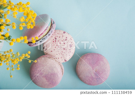 Pink macaroons and branches of mimosa on blue background close-up and empty space 111138459