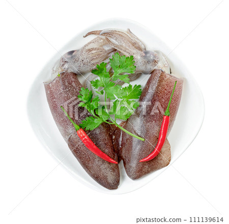 squid on dish with chili and coriander isolated squid on dish with chili and coriander isolated 111139614
