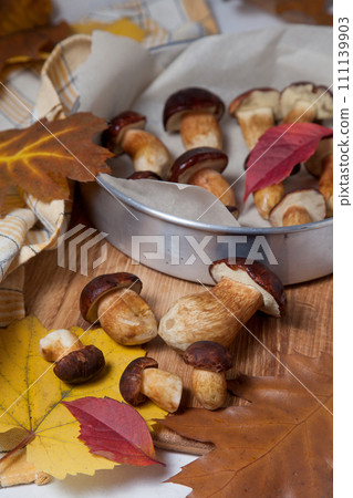 Several Imleria Badia or Boletus badius mushrooms commonly known as the bay bolete, vintage baking sheet with mushrooms on wooden cutting board.. Several Imleria Badia or Boletus badius mushrooms commonly known as the bay bolete, vintage baking sheet with mushrooms on wooden cutting board.. 111139903