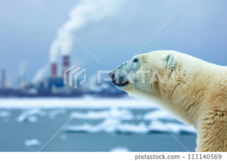 Climate change, global warming and environmental pollution. Polar bear animal extinction 111140569