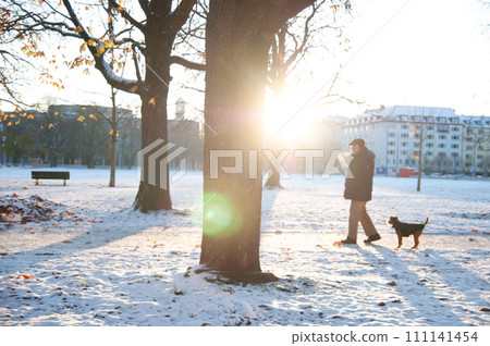 德國一個下雪的早晨,一名男子遛狗 德國一個下雪的早晨,一名男子遛狗 111141454