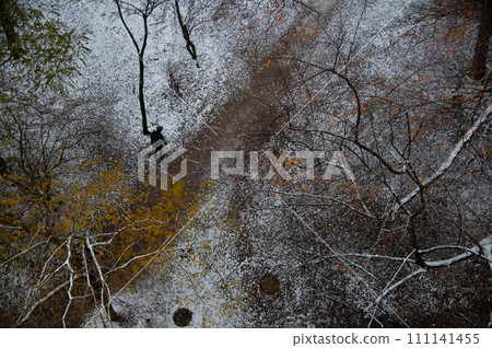 一名男子在德國行走的空拍照片 111141455