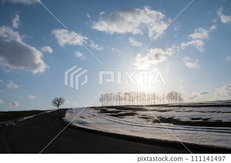 Melting hills and birch trees Melting hills and birch trees 111141497
