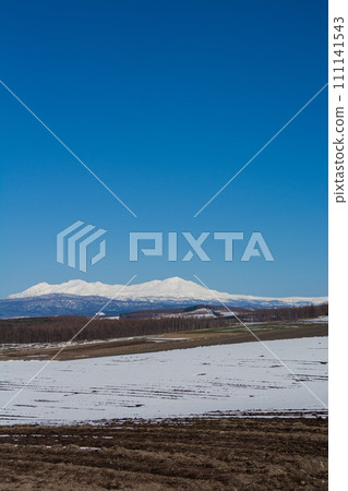 春天的高地和積雪的雪山大雪山 春天的高地和積雪的雪山大雪山 111141543