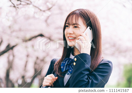 High school student calling under the cherry tree 111141587