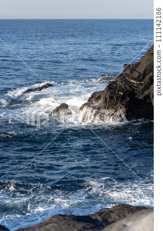 海浪拍打著海岸 111142186