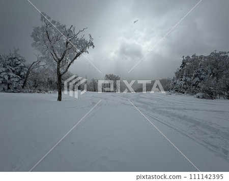 Grandeco uncompacted snow course in Fukushima Prefecture in January 2024 111142395