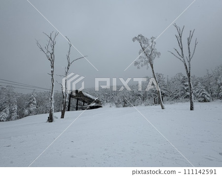 2024 年 1 月福島縣 Grandeco 未壓實雪道 2024 年 1 月福島縣 Grandeco 未壓實雪道 111142591