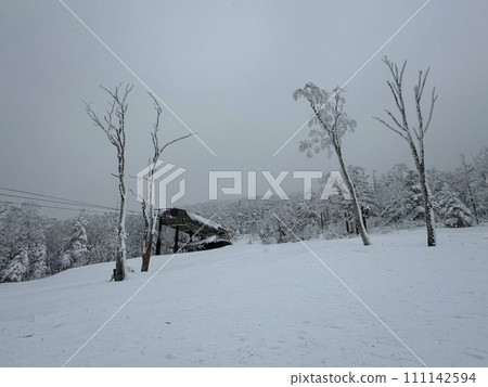 Grandeco uncompacted snow course in Fukushima Prefecture in January 2024 Grandeco uncompacted snow course in Fukushima Prefecture in January 2024 111142594