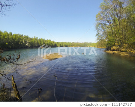 Lakeside Tranquility in Sunlit Woods 111142737