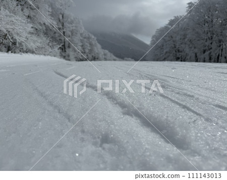Close-up of the snow surface in the southern area of Nekoma Mountain in Fukushima Prefecture in January 2024 111143013