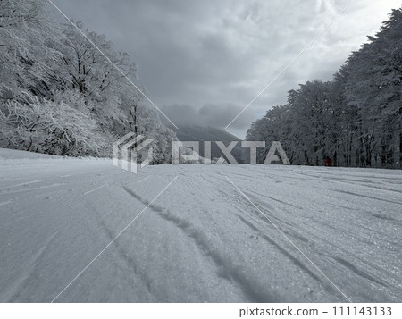 Snow surface in the southern area of Nekoma Mountain in Fukushima Prefecture in January 2024 Snow surface in the southern area of Nekoma Mountain in Fukushima Prefecture in January 2024 111143133