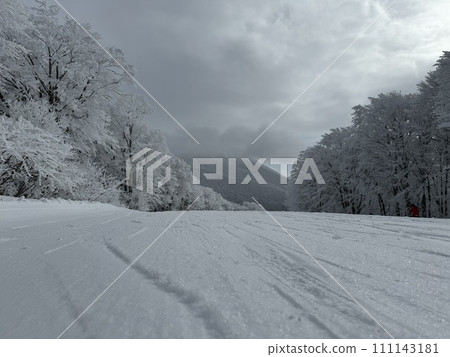 2024年1月福島縣貓駒山南部地區雪面特寫 2024年1月福島縣貓駒山南部地區雪面特寫 111143181